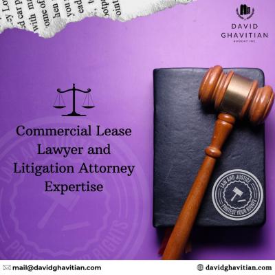 Commercial Lease Lawyer and Litigation Attorney Expertise