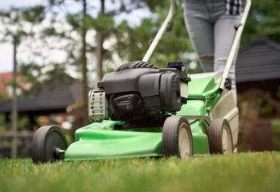 Professional Lawn Care Services