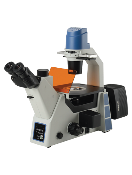 Unlock Learning Excellence: FL Inverse Microscopes from Magnus Opto