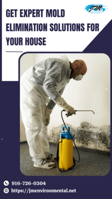 Get Expert Mold Elimination Solutions for Your House - Sacramento Other