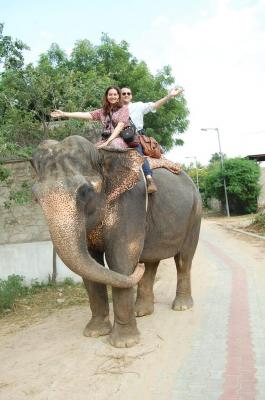 Elefriend - Best Elephant Rides in Jaipur - Jaipur Other