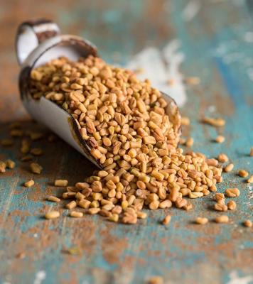 Uses of  Fenugreek Seeds - Washington Other