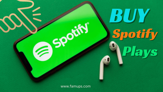 Buy Spotify Plays at Affordable Price