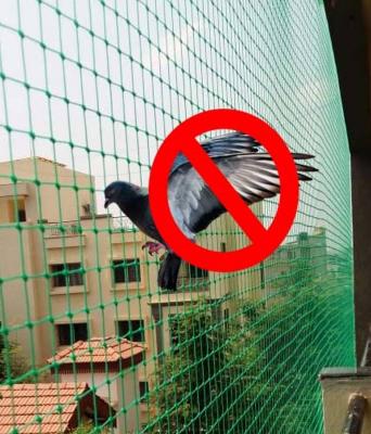 Pigeon Safety Nets in Bangalore - Jos Safety Nets Ensuring Peace of Mind