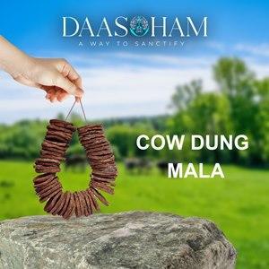 Dung Patties  - Visakhpatnam Home & Garden