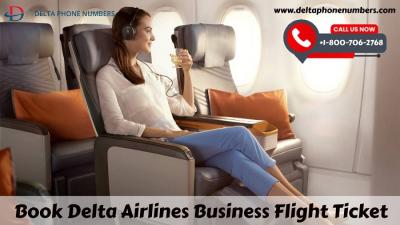 Delta Airlines Business Flight Ticket - Chicago Other