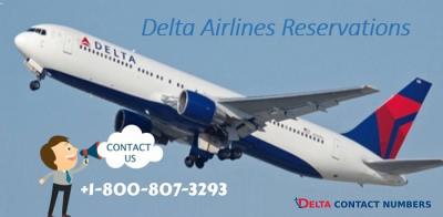 Delta Flight Reservation - Chicago Other