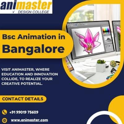 Bsc Animation in Bangalore - Bangalore Other