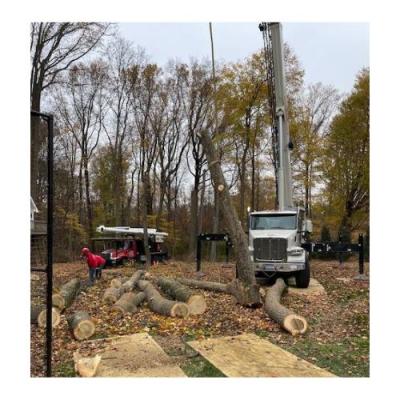 Tree Removal Service Norwalk CT - Other Other