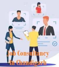 Job Consultancy In Chandigarh - Chandigarh Other