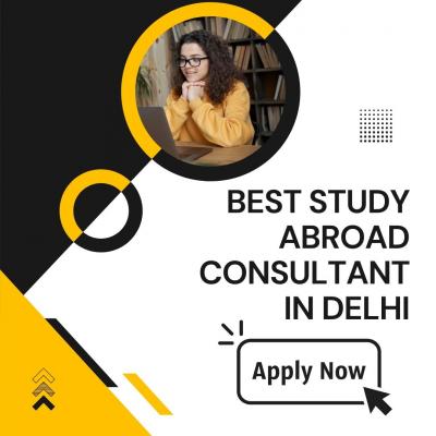 Best Study Abroad Consultant In Delhi - Delhi Professional Services
