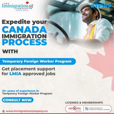 Best immigration consultants in Edmonton - Edmonton Other