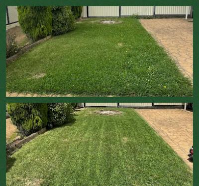 Best Lawn care in Glendenning