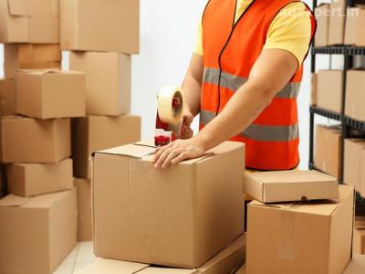 Fed Ex Gurgaon Shipping Service - Gurgaon Other