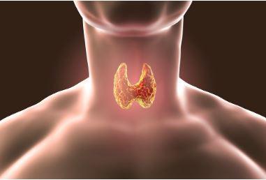Best Thyroid Care at MetroCity Hospitals : Your Path to Wellness - Hyderabad Other