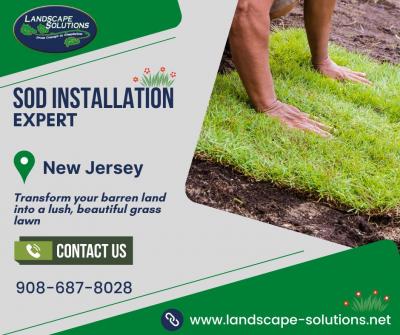 Sod Installation NJ