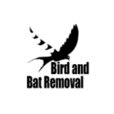 Effective Bat Pest Control in Richmond | Bird and Bat Removal - Los Angeles Professional Services