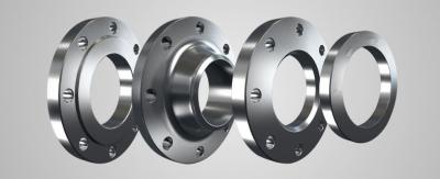 Premium Stainless Steel Flanges and Forged Components by Leading Manufacturer - Ahmedabad Industrial Machineries