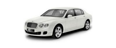 NYC Royal Wedding & Party Limo - New York Other