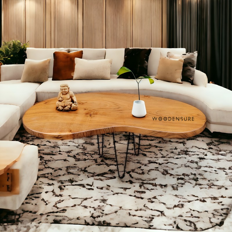 Modern center table designs for living room - Chandigarh Furniture