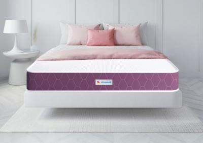 Ortho Pro Spring Mattress | Sleepwell for Ultimate Comfort - Delhi Furniture