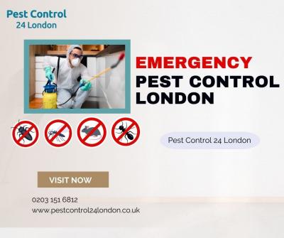 Rapid Relief: Pest Control 24 London provides emergency pest control in London. - London Other