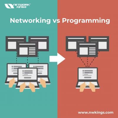 Networking vs Programming - Network kings - Chandigarh Tutoring, Lessons