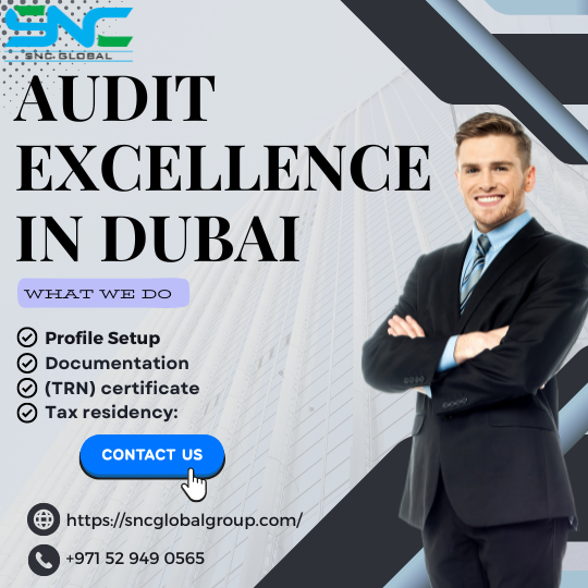🔍 Audit Excellence in Dubai: Your Trusted Auditors for Precise Financial Insights! - Dubai Other