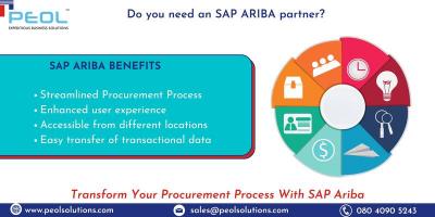 Ariba Partners in India  - Bangalore Other