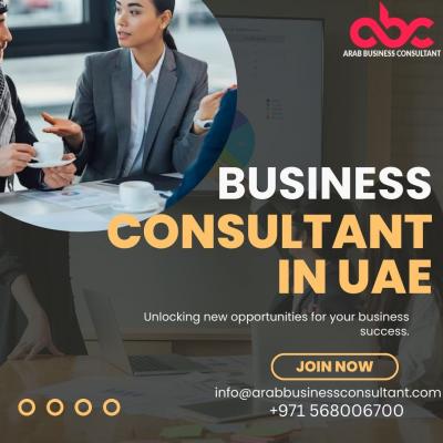 Get Expert Help Business Consultant in the UAE