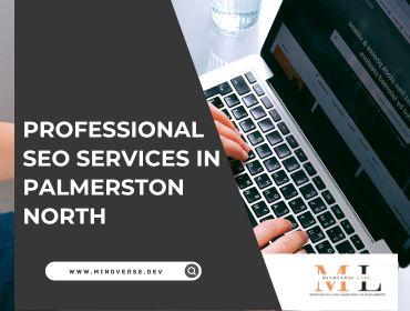 Professional SEO Services in Palmerston North