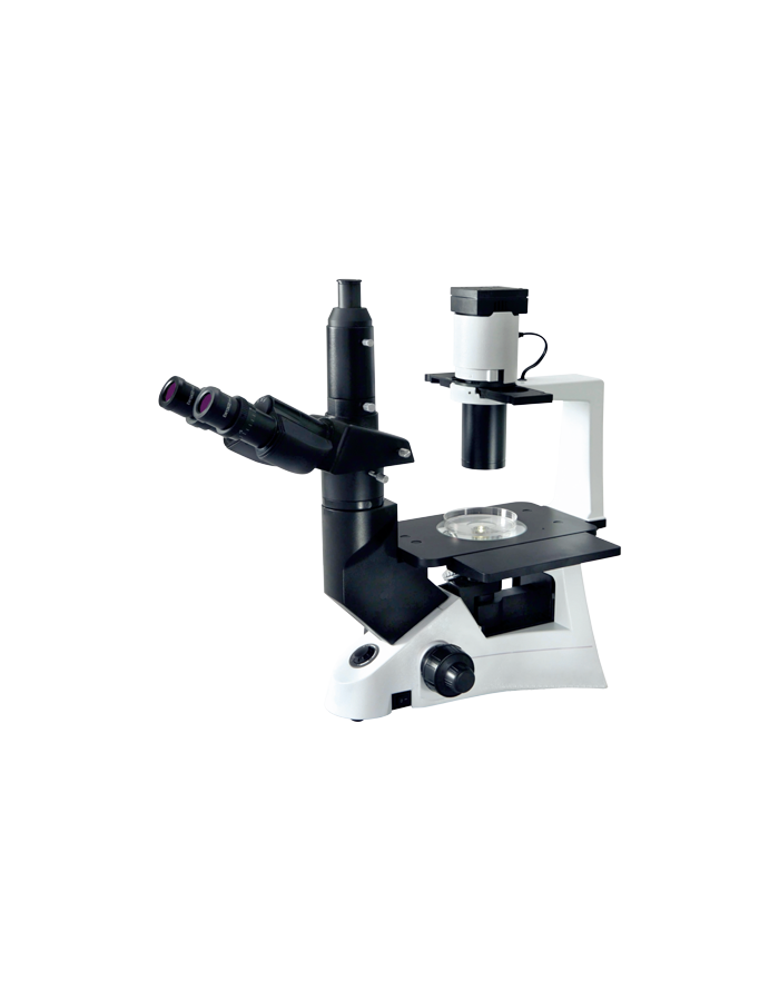 Buy The Best Invi Microscopes For Your Business & Learning From Magnus 