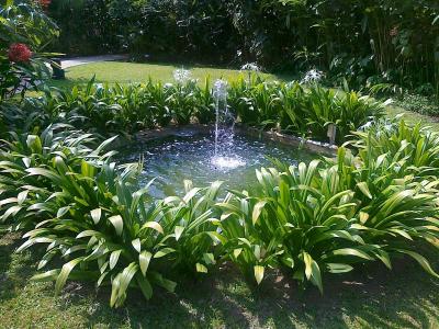 Pond Cleaning Services | Ken Landscape Serices Singapore - Singapore Region Other