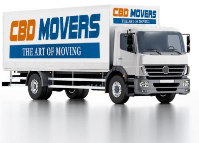 Efficient and Affordable: Movers and Packers in Dubai - Dubai Professional Services