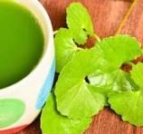 Centella Asiatica Leaf Extract Supplier in India