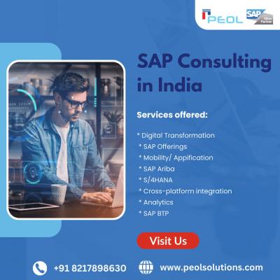 SAP Consulting in India - Bangalore Computer