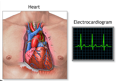  Your Service Expert with ECG in Dhanori