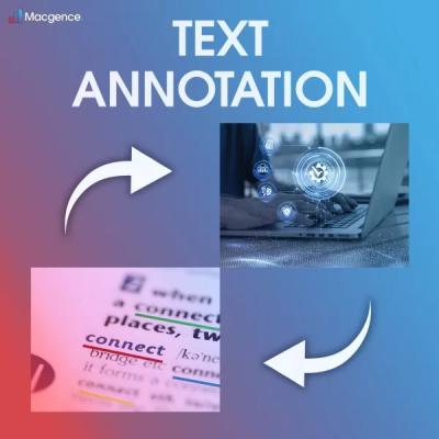 Enhancing Understanding through Text Annotation