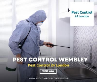 Your Go-To Team for Efficient Pest Control Solutions - London Other