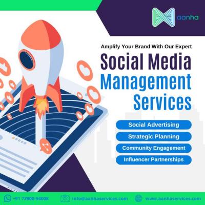 SMM Services in Delhi |  SMM Social Media Marketing