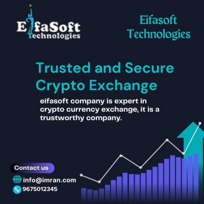 Crafting Digital Marketplaces: EIFASOFT's Expertise in Exchange Software Development