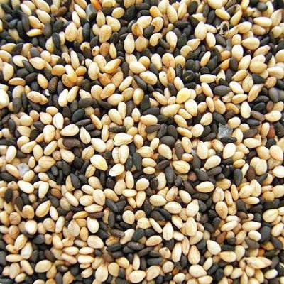 Explore Premium Sesame Seeds Exporters Online in India - Jaipur Other