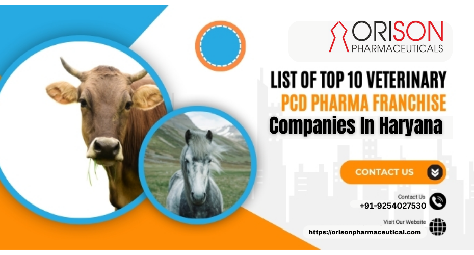 Top 10 PCD Pharma franchise Companies in Haryana 