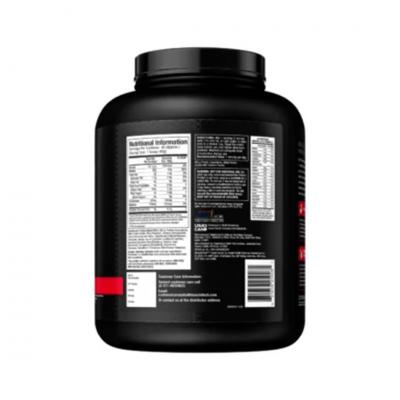 Protein Excellence: Unleash the Best Powders with B2Bmart360