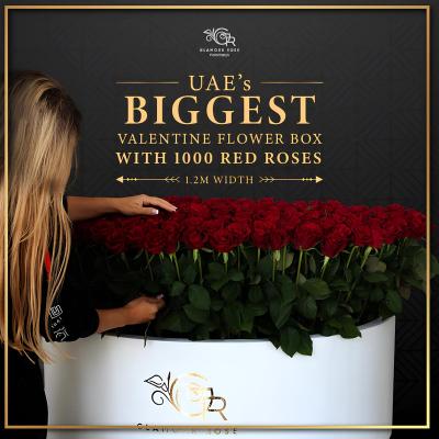 Buy Ultimate Valentine's Day Grand Gesture From Glamour Rose
