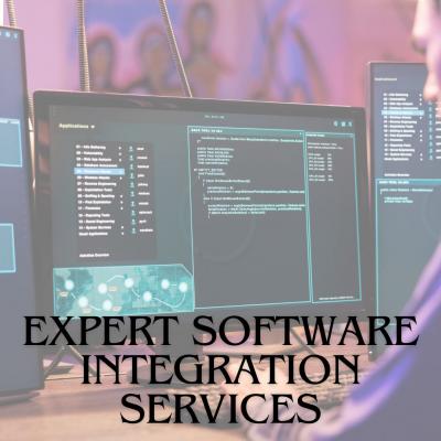 Unify and Thrive: Expert Software Integration Services - Gurgaon Professional Services