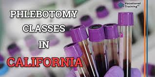 Phlebotomy Technician Program Los Angeles - Los Angeles Other