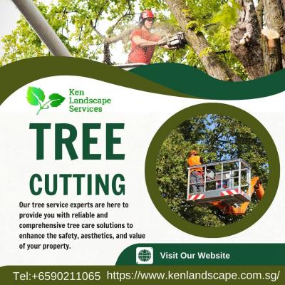 Tree Cutting Singapore | Ken Landscape Services  - Singapore Region Other