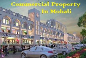 Commercial Property In Mohali - Chandigarh Other