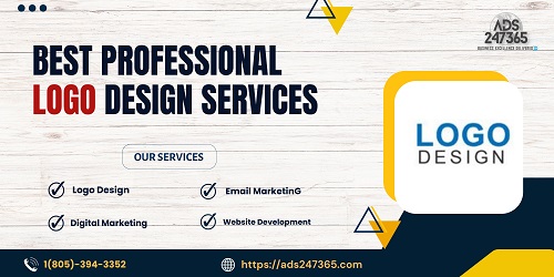 Reasons To Have The Best Professional Logo Design Services For Your Organization